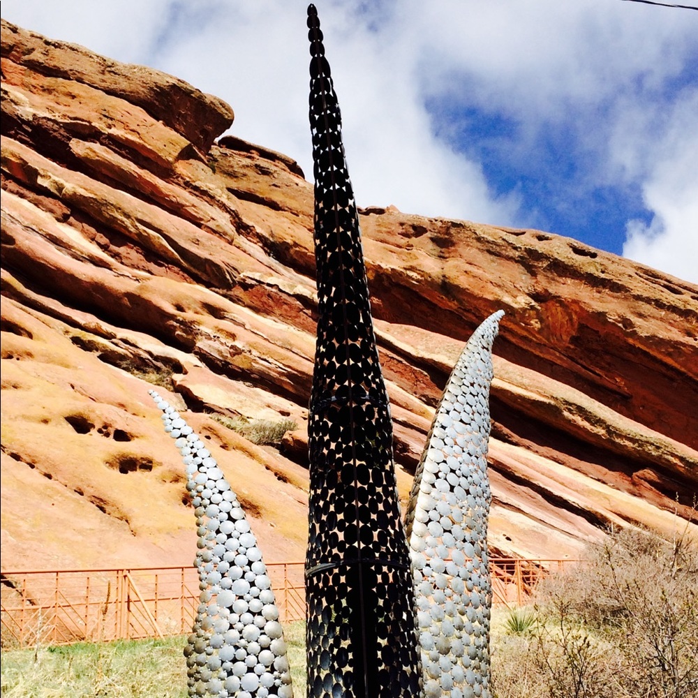 Meet your Posher, Liz